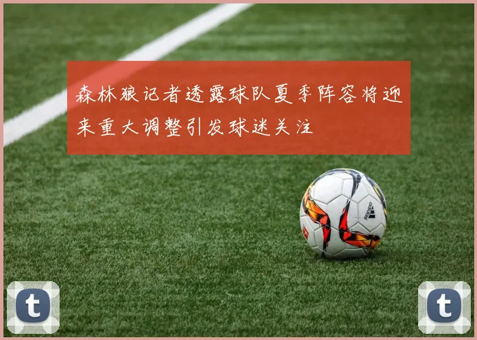 森林狼记者透露球队夏季阵容将迎来重大调整引发球迷关注
