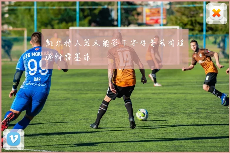 凯尔特人若未能签下字母哥或将追逐特雷墨菲