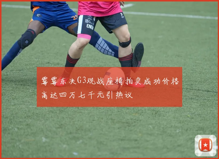 霉霉东决G3观战座椅拍卖成功价格高达四万七千元引热议